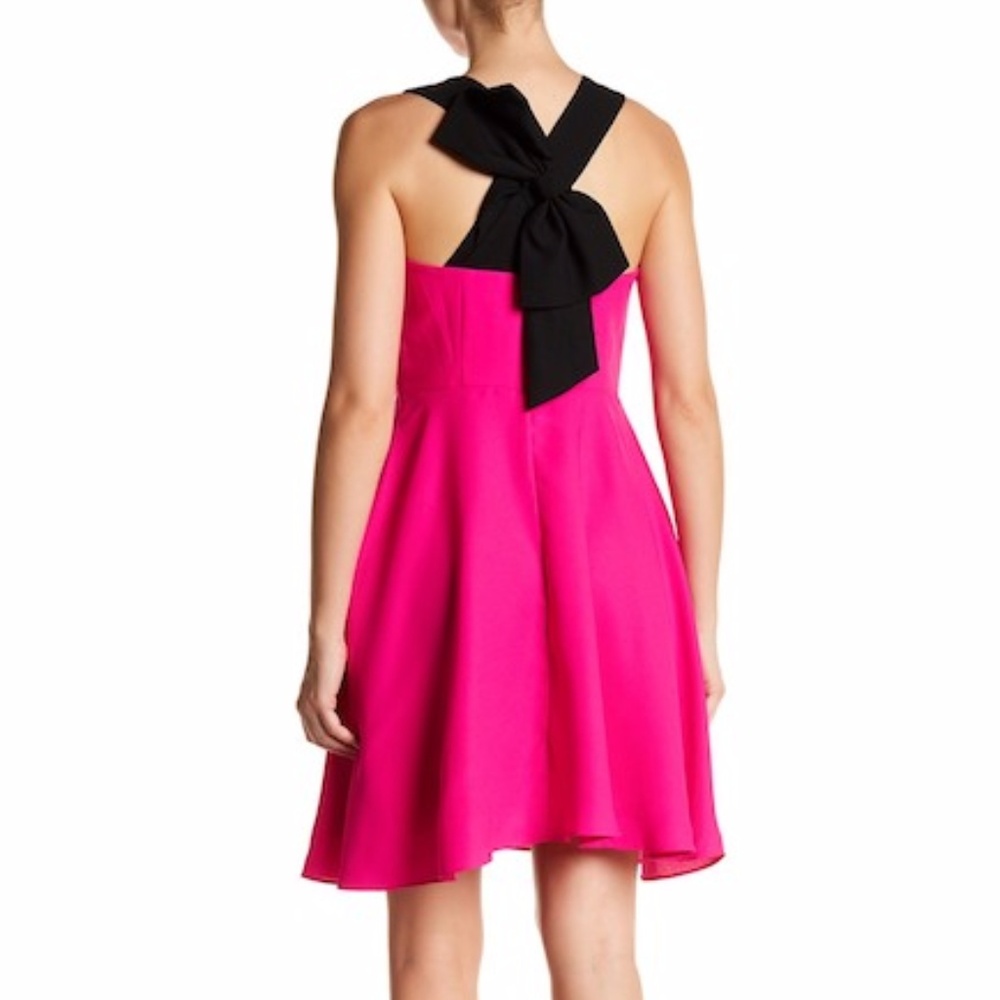 Cynthia Steffe Pink and Black Mini Dress
